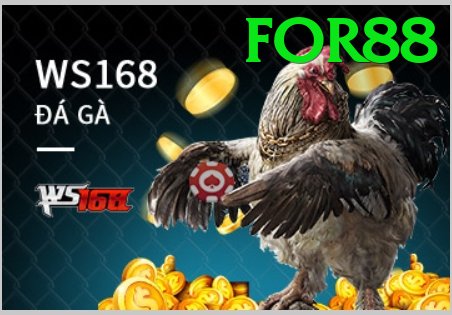 Đá Gà Trực Tiếp - for88 - Game hành động